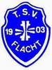 Logo TA TSV Flacht